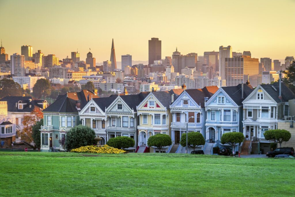 Painted Ladies 1024x683